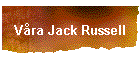 V�ra Jack Russell